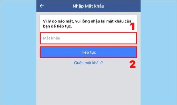 Đăng nhập mật khẩu Facebook vào ô yêu cầu để tiếp tục