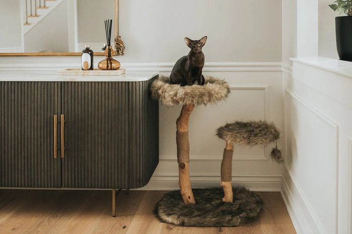 Contemporary living room with a cat perched atop a cozy wooden cat tree