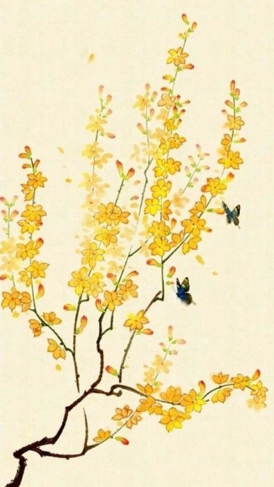 Hình vẽ hoa mai đẹp nhất trong mùa Xuân