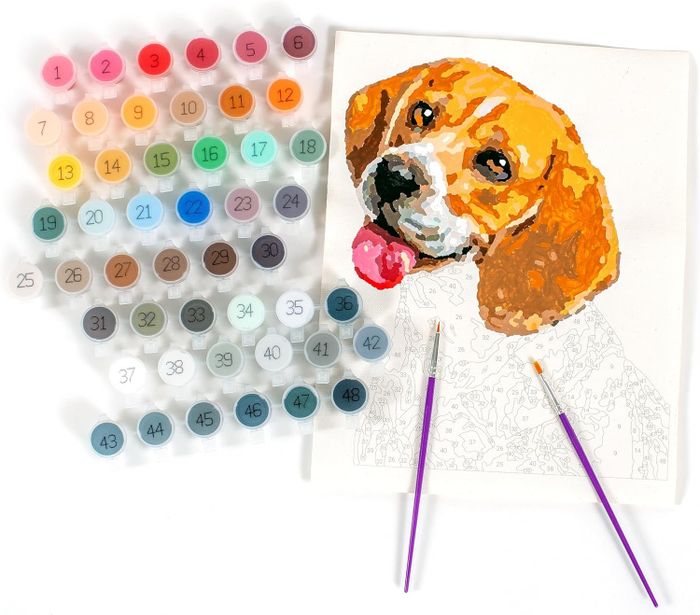 A paint-by-numbers kit featuring a beagle, complete with numbered paint pots and two brushes.