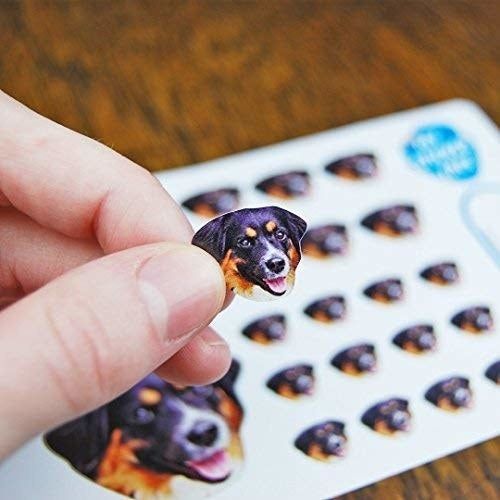 A small sticker with a cute dog's face