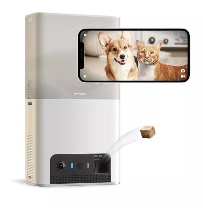 The Petcube device with a treat dispenser. A smartphone screen shows a corgi and a cat in a video chat.