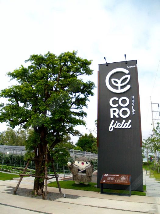 วันเดียวเที่ยวไหนดี? 5 สถานที่ใกล้กรุง งบไม่มากก็ยังสนุกได้!