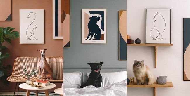 Three images of the art: one line drawing of a dog, one color-blocked design of a dog, and one line drawing of a cat, with the actual pets they represent beneath each one