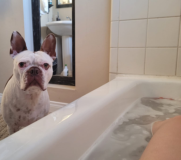 Reviewer relaxing in the tub while their dog looks on curiously