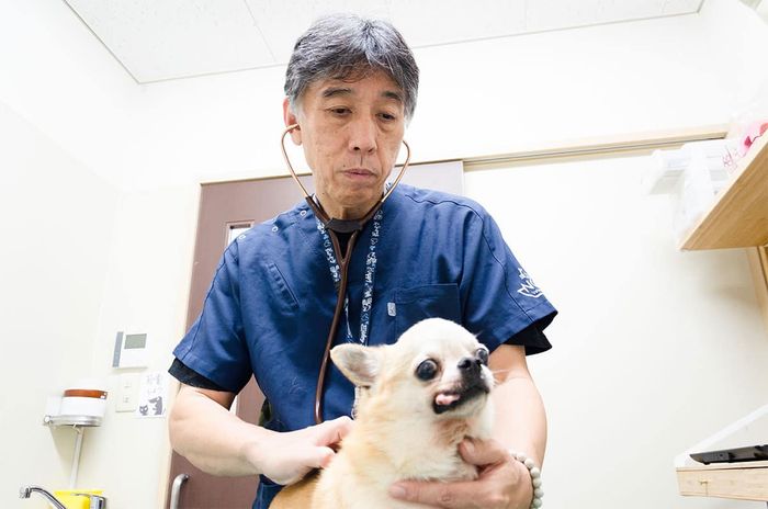 Sasaki Animal Hospital Image 2