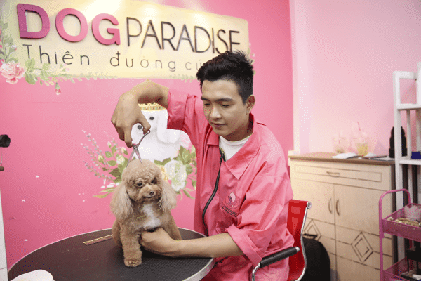 DogParadise.vn Image 1
