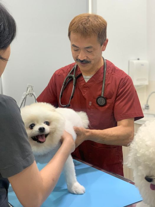 Sasaki Animal Hospital Image 1