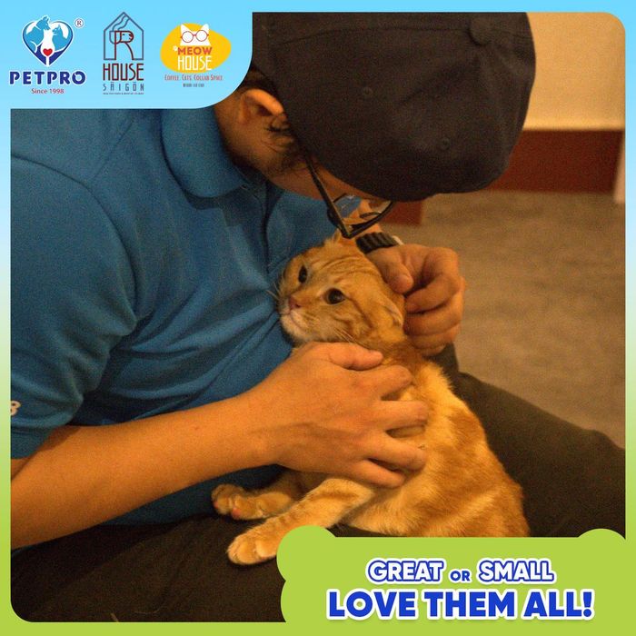PETPRO Veterinary Hospital Image 2
