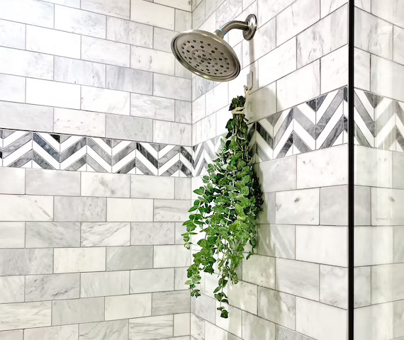 a eucalyptus bundle hanging from a shower wall beneath the shower head