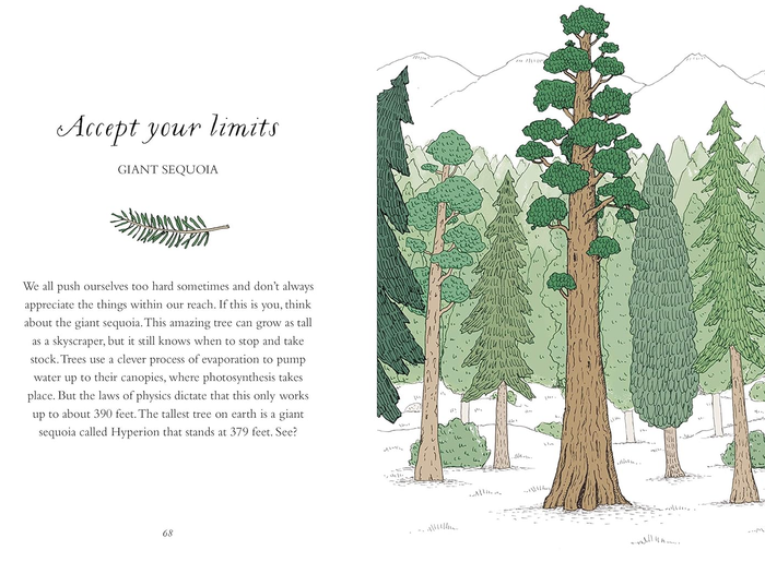 A page spread from inside the book, showcasing a beautifully detailed tree illustration.