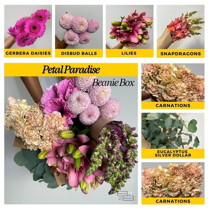 Flower arrangement options from Petal Paradise, featuring gerbera daisies, disbud balls, lilies, snapdragons, carnations, and eucalyptus
