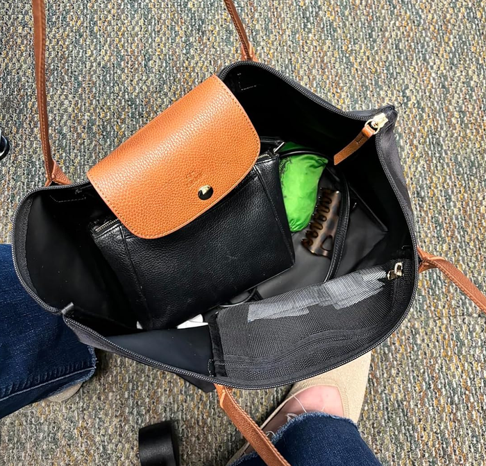 The interior of the tote bag