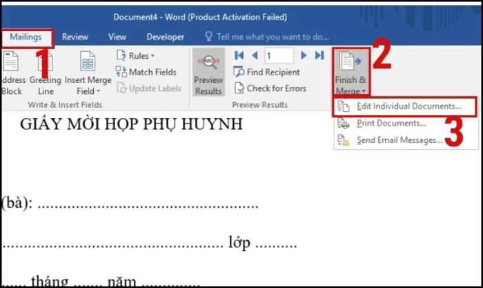 Hướng dẫn cách kiểm tra kết quả trộn thư trong Word 2010, 2016.