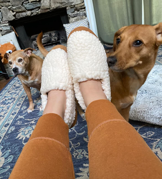 A reviewer wearing the white slippers while sitting with their two dogs at their feet