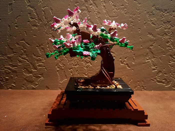 Finished bonsai tree in a pot, complete with delicate flowers