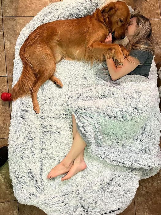 A reviewer relaxing on a cozy fur blanket, cuddled up with a golden retriever, a red toy lying beside the dog.