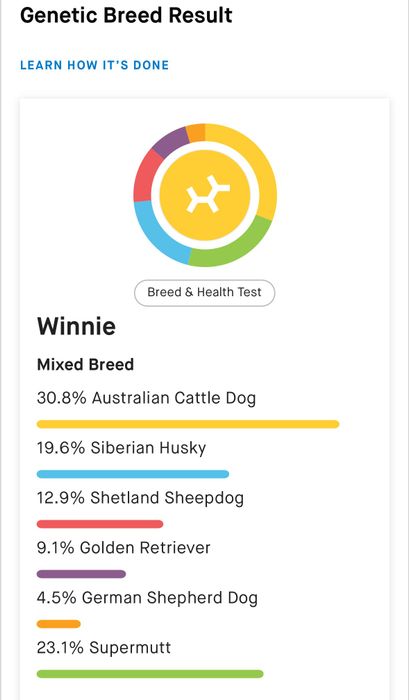 The DNA test results