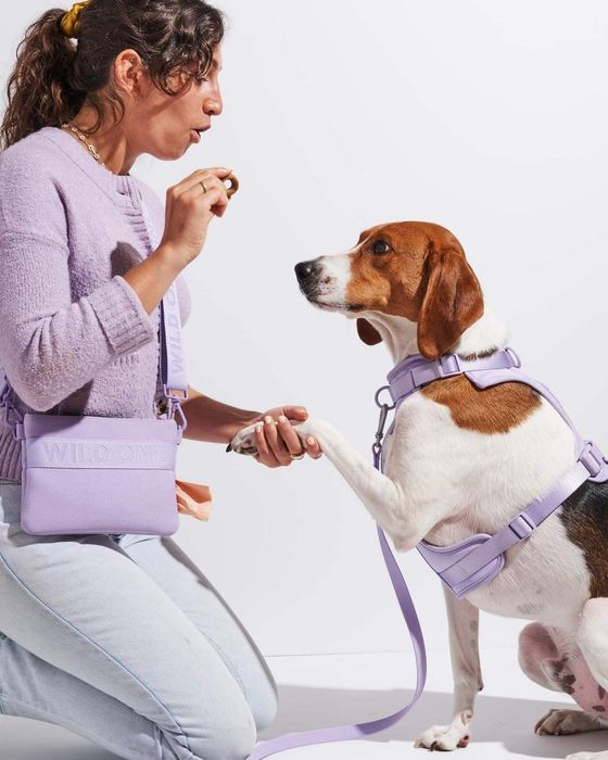 A model showcasing the lilac crossbody treat pouch