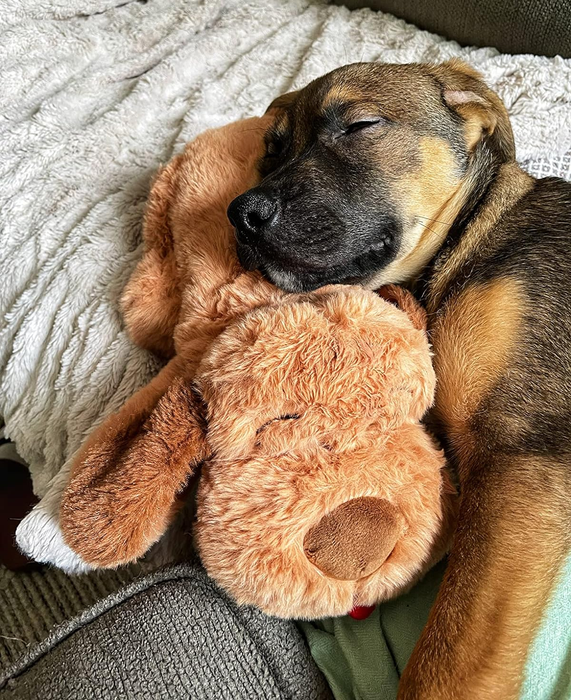 A reviewer’s puppy is shown peacefully sleeping alongside the stuffed toy.