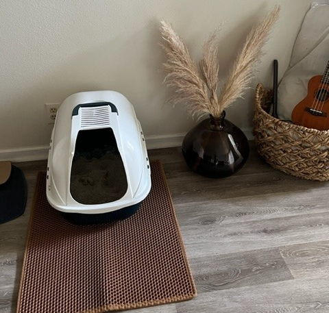 Another reviewer showcasing the brown mat used on wooden floors