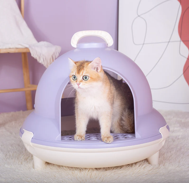 a cat exiting the purple litter box enclosure