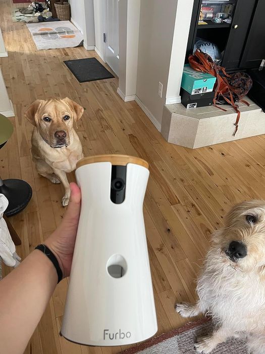 A reviewer showcasing a Furbo camera while their dog looks on