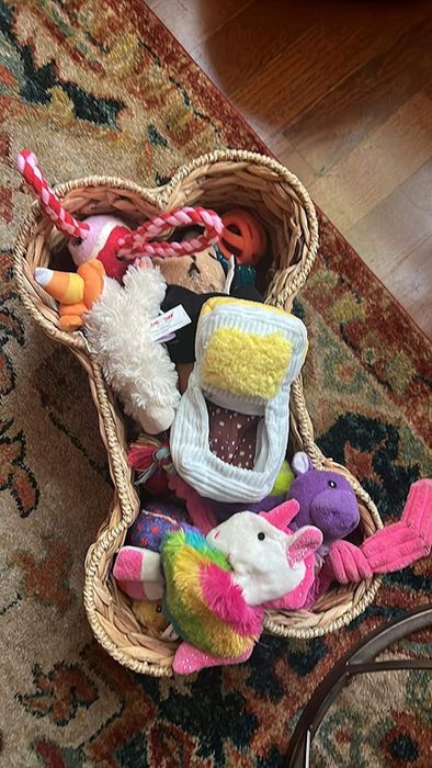 a close-up view of the basket brimming with dog toys