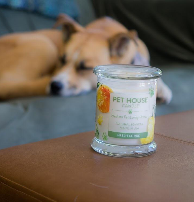 Another reviewer’s dog posing next to the orange Pet House odor-eliminating candle