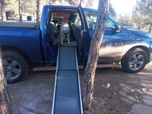 A reviewer’s photo showing a dog using a ramp to climb into the back seat of a parked pickup truck