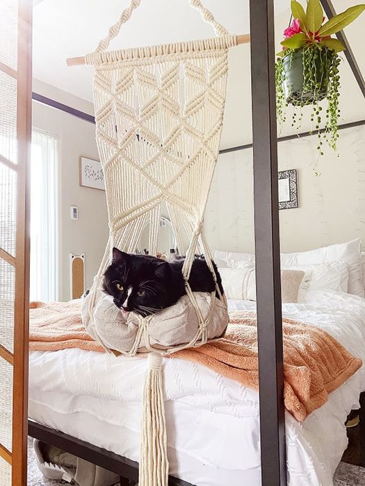 A reviewer’s cat comfortably resting inside the hanging bed.