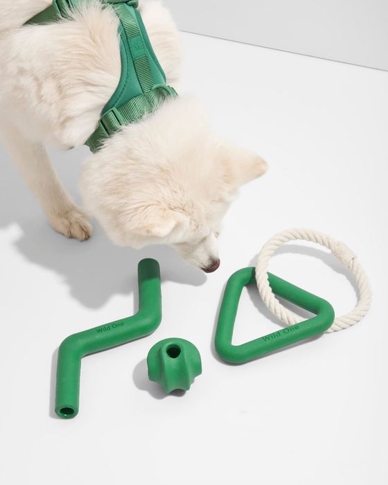 A dog happily playing with the green toy set
