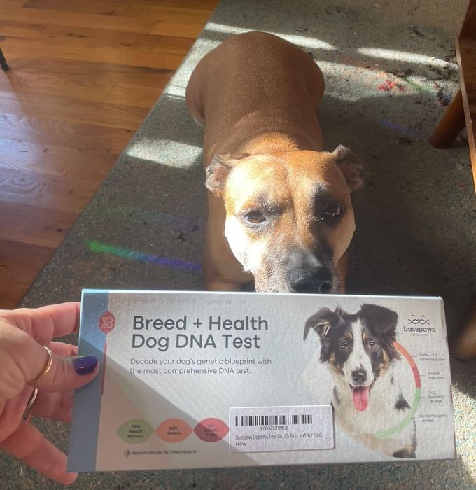 A dog posing with a Dog DNA Test kit