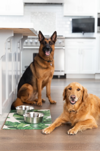 two dogs relaxing next to a mat featuring a palm tree design