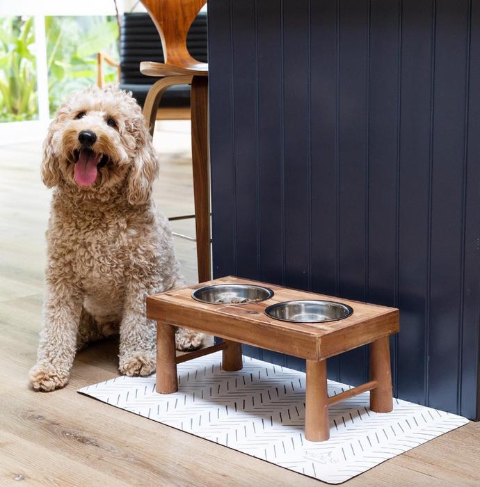 A poodle sitting near a mat with a sleek black and white geometric pattern