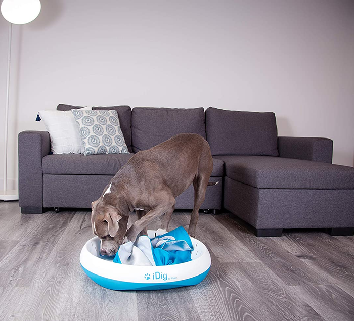A large dog enthusiastically digging through the fabric layers inside a tub
