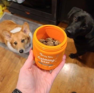 A person holding a container of pet calming bites, with two attentive dogs nearby, one a corgi and the other a black dog.