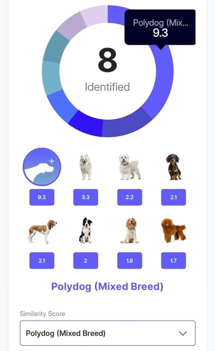 A reviewer sharing a screenshot of the breed results identified by the test