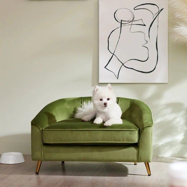 a small dog lounging comfortably on the green velvet bed