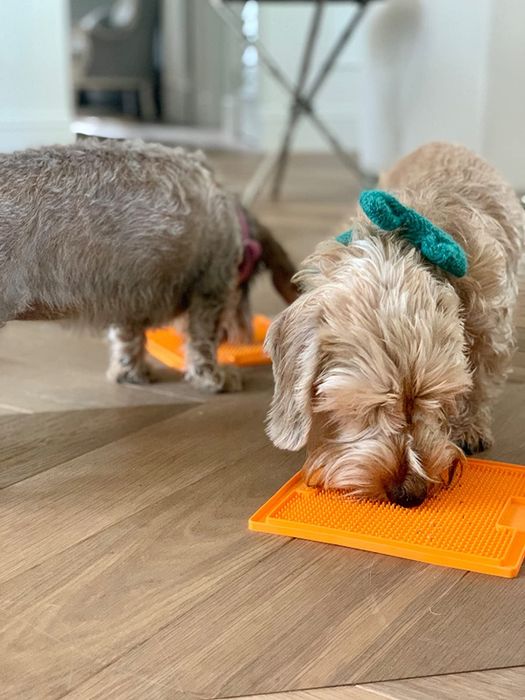 Another reviewer's dogs using two orange lick mats