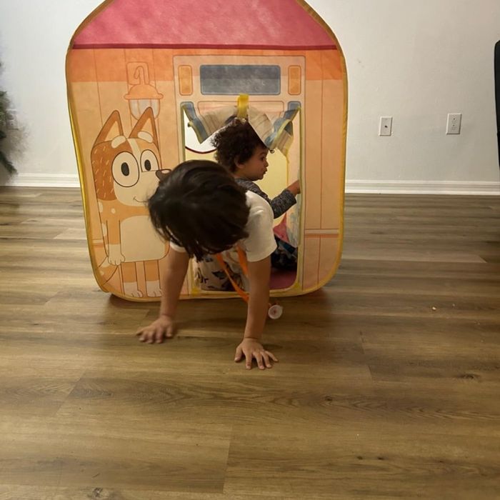 Two kids enjoy playing in a dog-themed playhouse adorned with a cartoon dog illustration on the front.