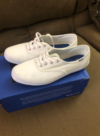 A pair of white Keds sneakers sit atop a blue Keds shoe box, placed neatly on a brown couch.