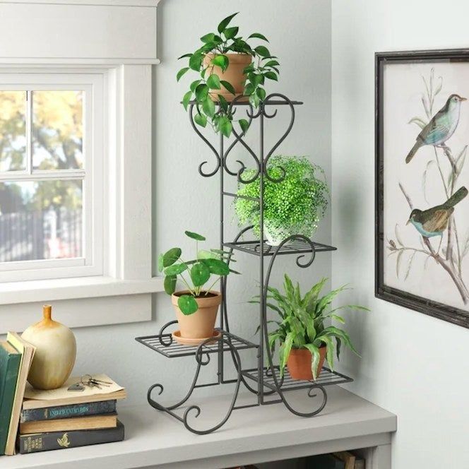 A plant stand filled with a variety of plants on display.
