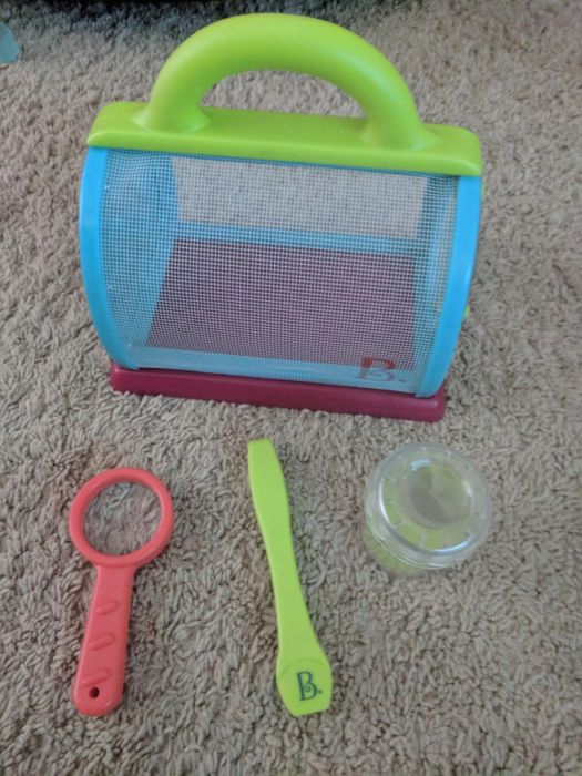 A child's bug catching toy set placed on a carpet