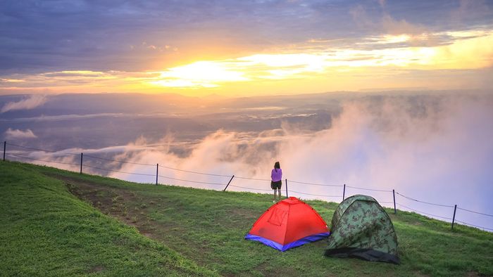 Tan hiking boots featuring red laces.
