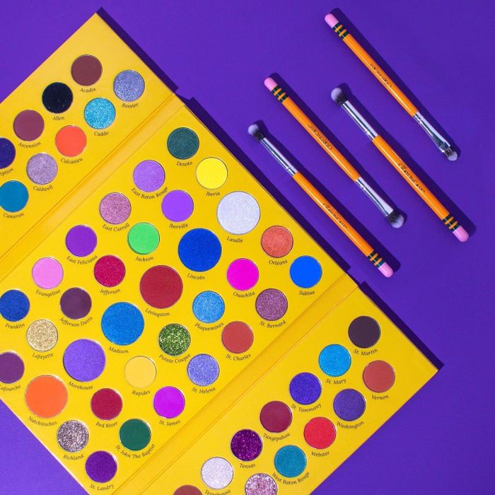 inside of the crayon case palette showing pigmented colors