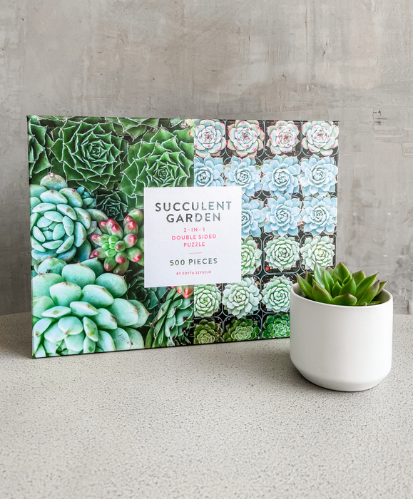 A succulent-themed puzzle and a potted plant