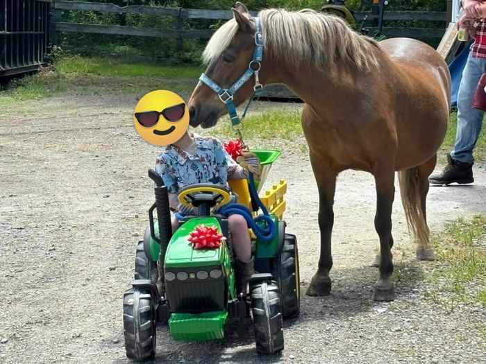 A child riding a tractor near a horse in a farm setting