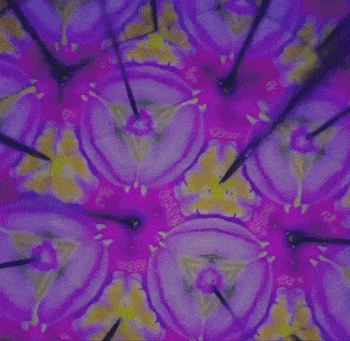 A GIF showcasing the shifting kaleidoscope images created with flowers placed inside.