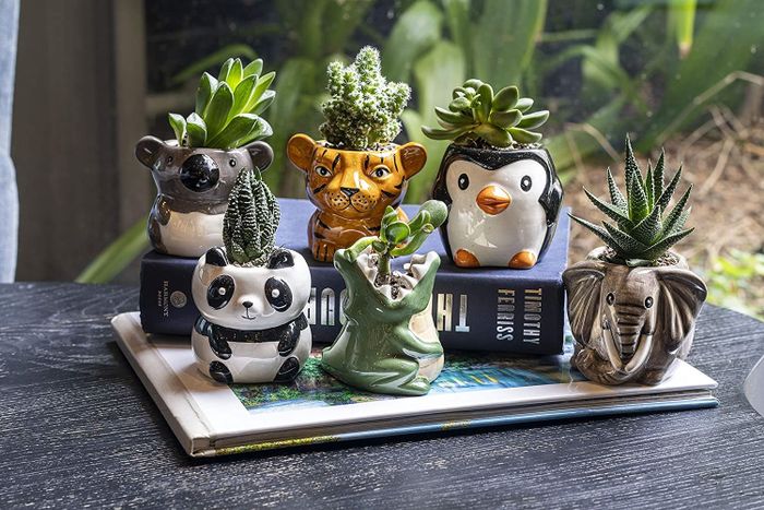 adorable plant pots designed to look like a panda, penguin, tiger, elephant, koala, and crocodile